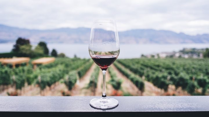 Aumento delle vendite del vino nella GDO per 180 milioni di euro