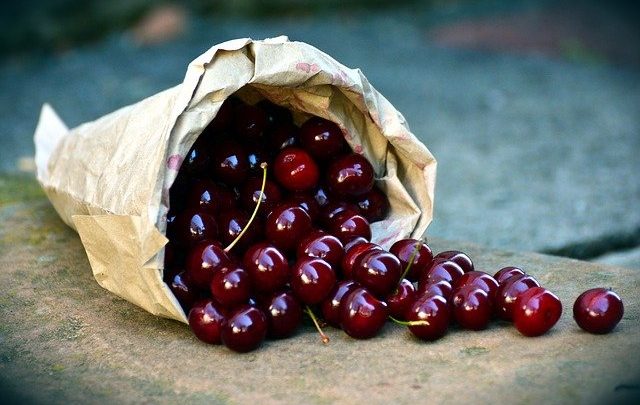 Cala la produzione di ciliegie a causa del maltempo