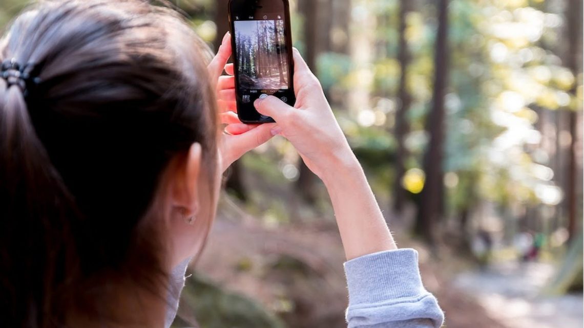 Scatta il bosco PEFC: su Instagram il concorso fotografico per raccontare le foreste italiane
