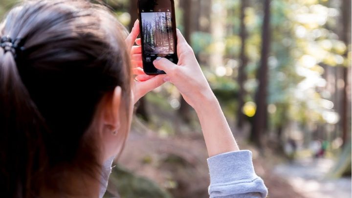 Scatta il bosco PEFC: su Instagram il concorso fotografico per raccontare le foreste italiane