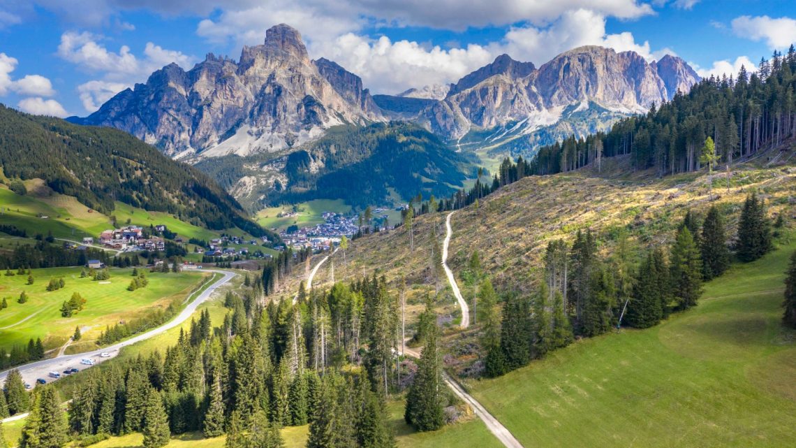 Piantare alberi: un antidoto efficace contro il climate change