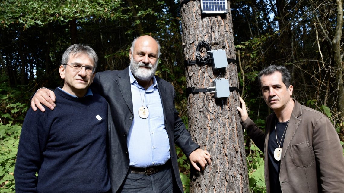 Il documentario “Alberi” porta il mondo delle foreste nel cinema italiano 