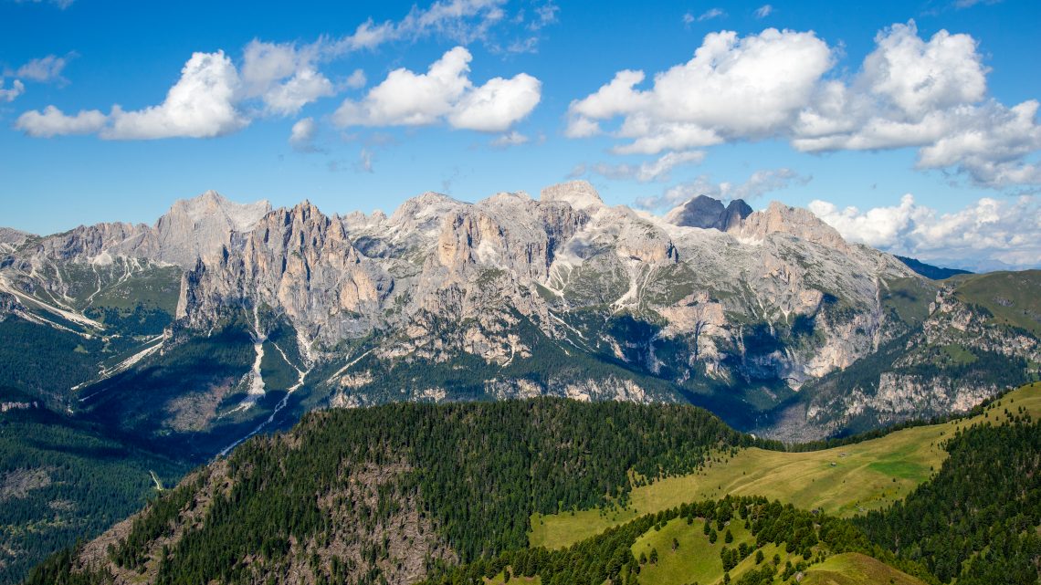 Scatta il bosco PEFC: tutti i vincitori dell’edizione 2021