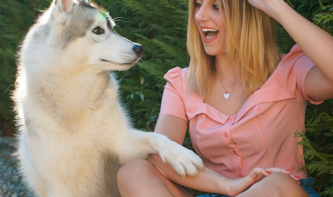 In libreria arriva “Il diario di Yuko”, il libro del Siberian Husky più famoso del web