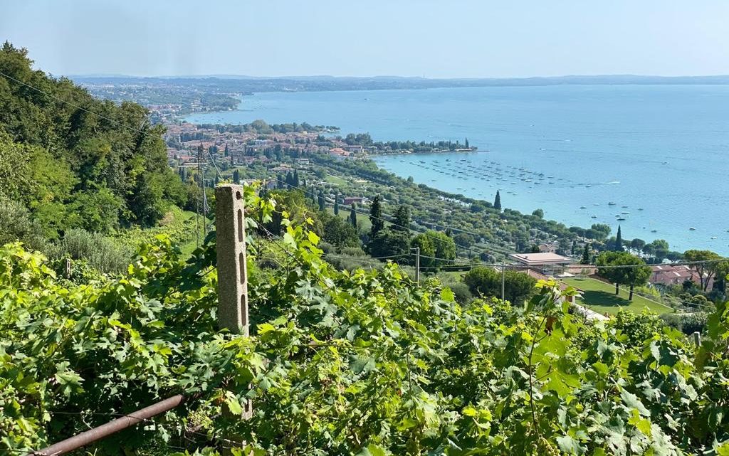 5 esperienze da provare in Italia per vivere i colori dell’autunno