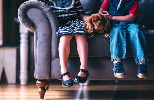 Riprende il progetto nazionale di Dog Therapy “Basta una Zampa” nelle scuole