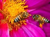 san valentino regalo per lui per lei ecosostenibile