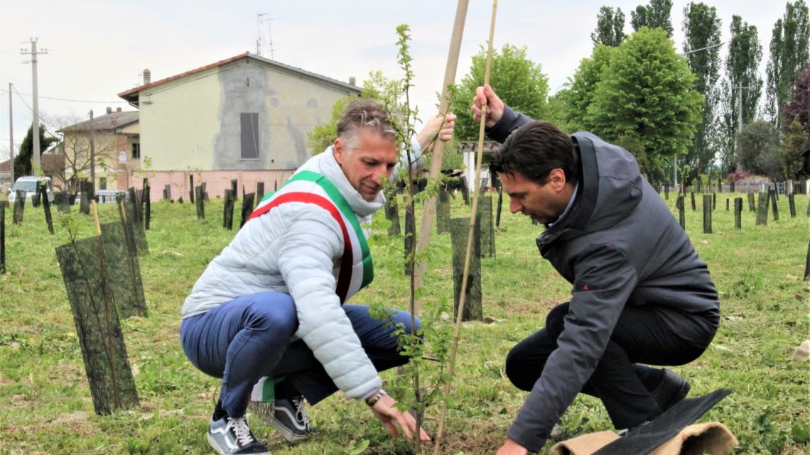 Forestazione urbana: piantati duemila nuovi alberi in provincia di Modena