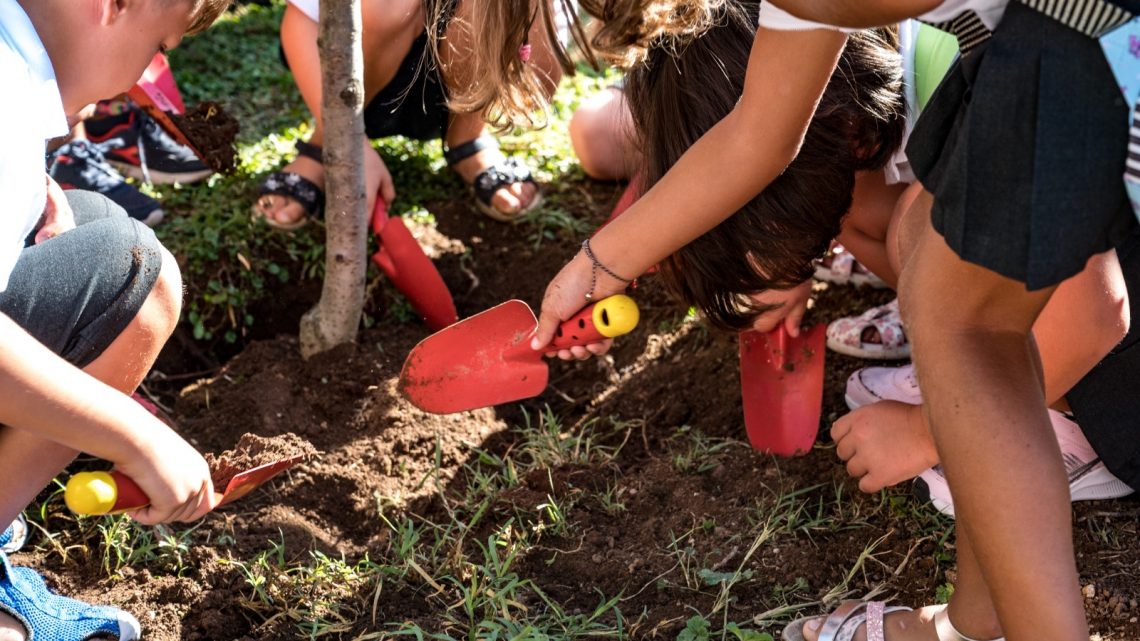 Iniziare l’anno scolastico piantando alberi