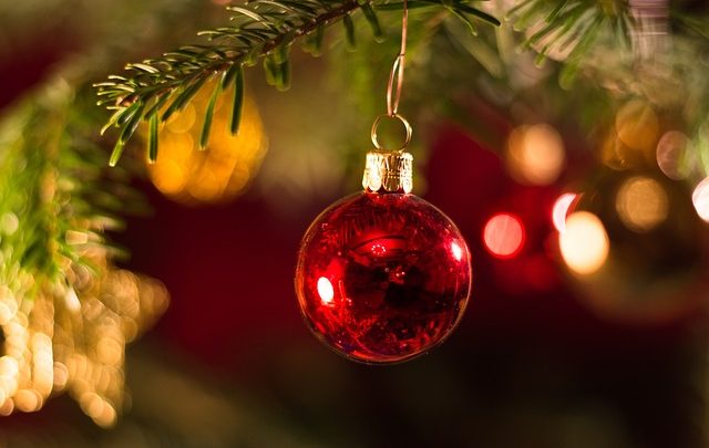 Può un albero di Natale nascere da una semplice matita? Ecco come