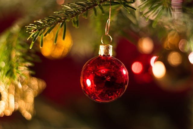 Albero di Natale: meglio vero o finto? Ecco quale è la scelta più sostenibile