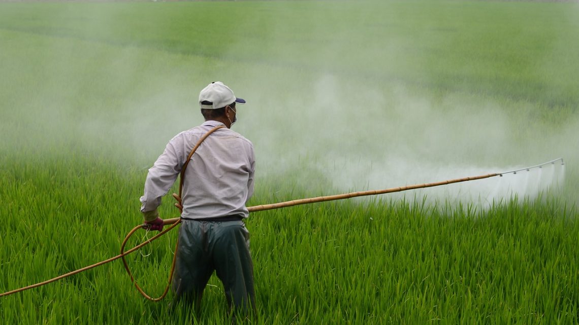 Agricoltura: quali sono le malattie professionali più diffuse tra gli agricoltori