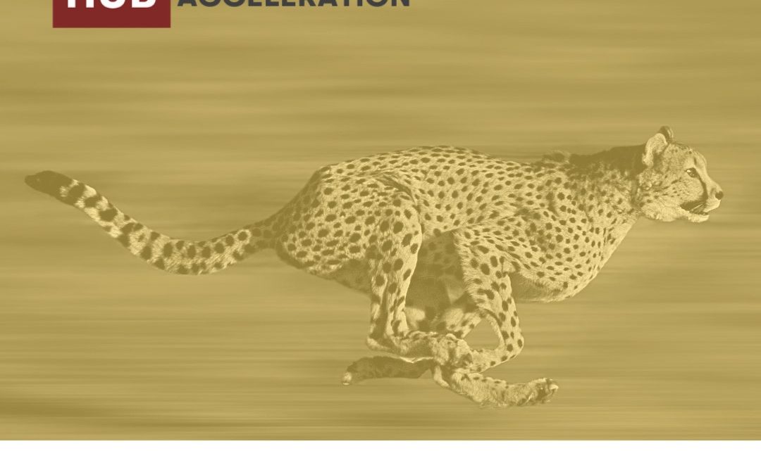 Premiate le start up innovative partecipanti all'”IH Acceleration 2002-2023″