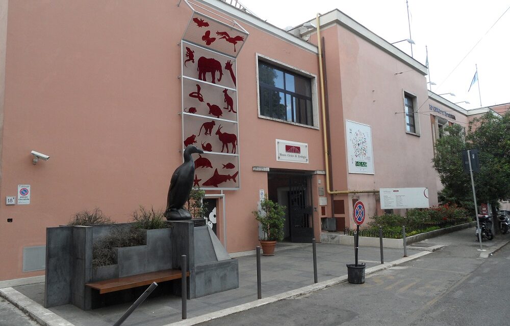 Al Museo Zoologico di Roma il City Nature Challenge 2023