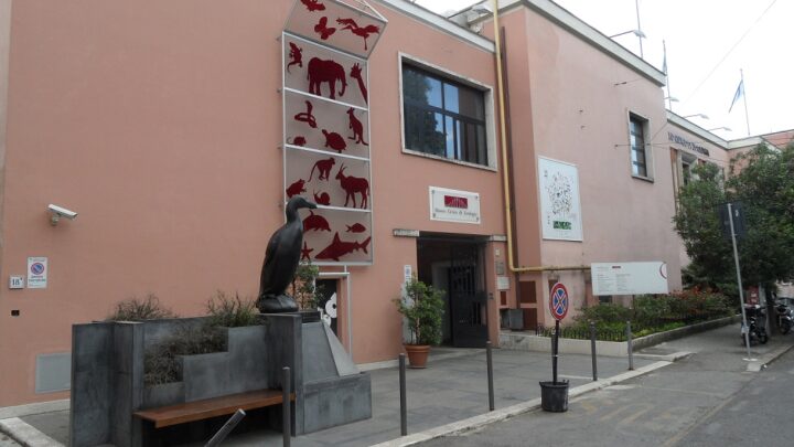 Al Museo Zoologico di Roma il City Nature Challenge 2023