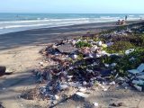 rifiuti in mare, isola asinara, università sassari