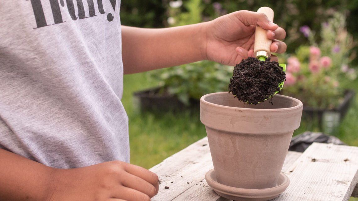 Api in via di estinzione: piantare una matita SproutWorld Bee Edition fa nascere tanti fiori amici di questi animali piccoli e preziosi