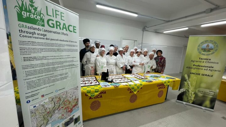 Progetto Life Grace: consegnati agli studenti del serale dell’IIS San Benedetto di Latina gli attestati di partecipazione