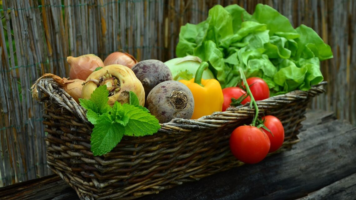 Ortofrutta: in quindici anni persi quasi 300mila ettari