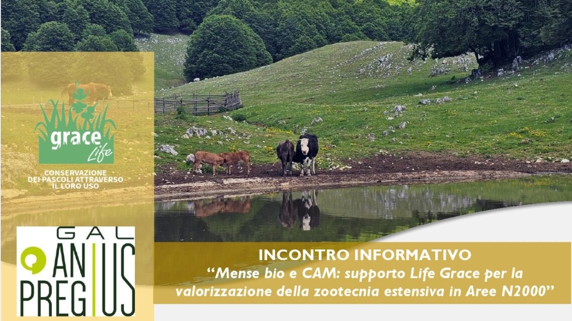 Mense bio e CAM: il Progetto LIFE Grace a Subiaco per la valorizzazione della zootecnia estensiva